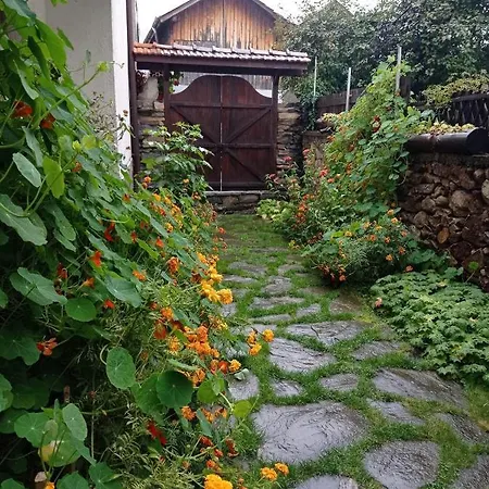 Guest house Къща Тенекеджиеви Smilyan (Smolyan)